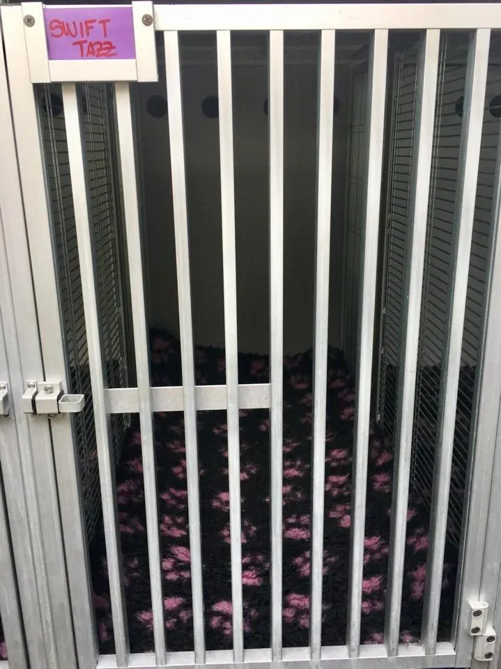 49479692 2053074541443057 4823450261424963584 n