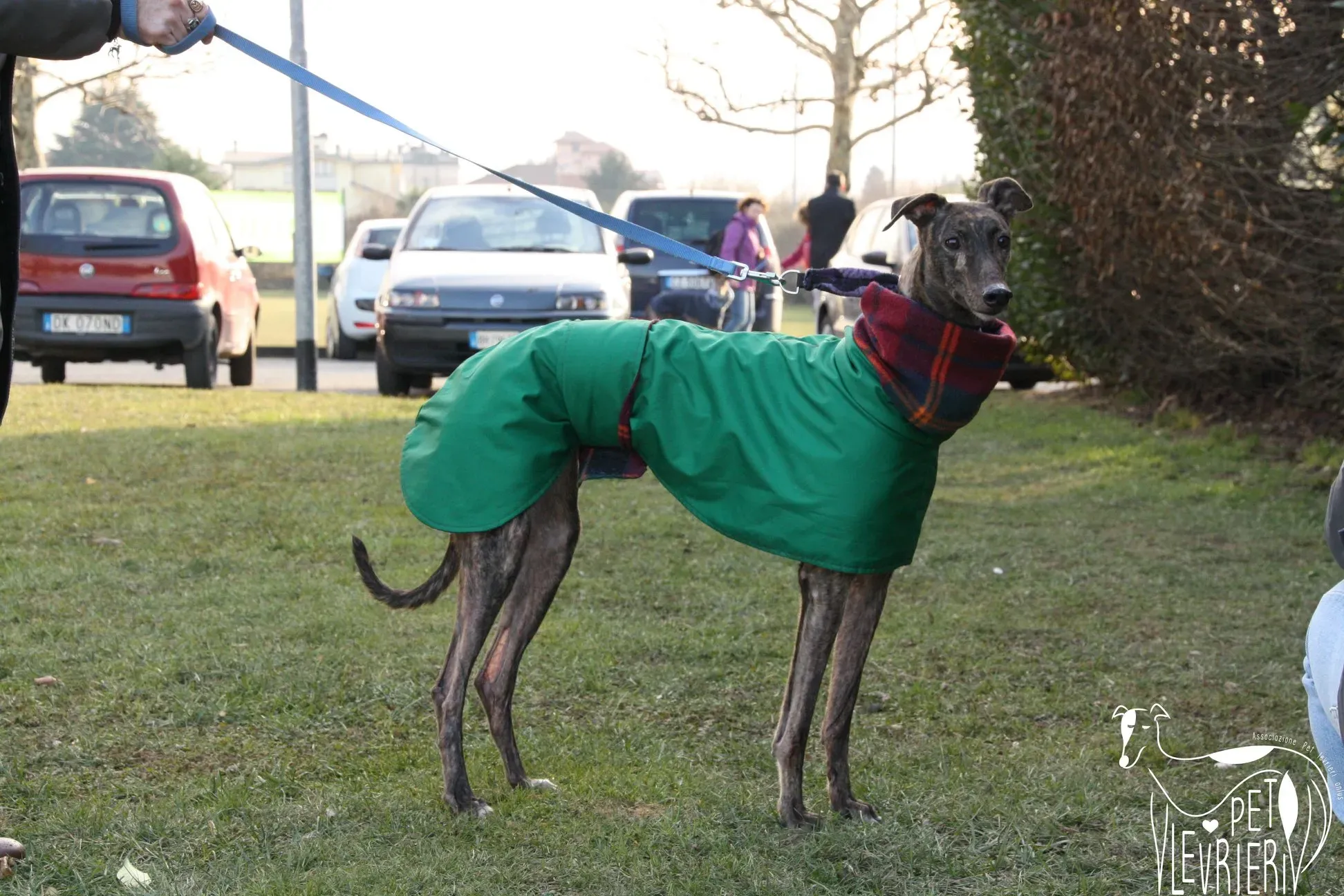 49501653 2054525947964583 4631798723209330688 o