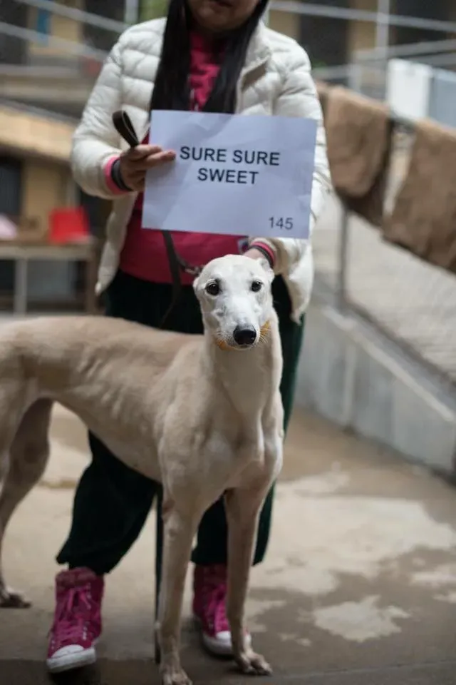 49503094 2051368901613621 7901143368116207616 n