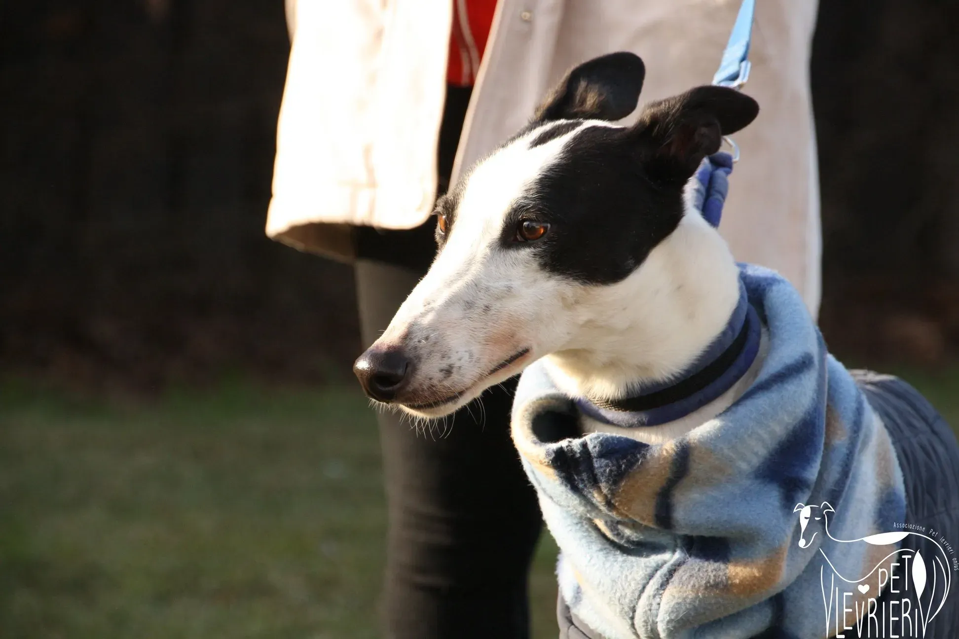 49514476 2054525487964629 6813203696495624192 o