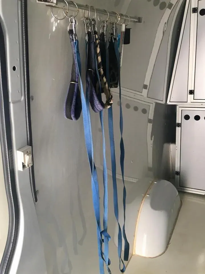 49528562 2053074434776401 3896594467817259008 n