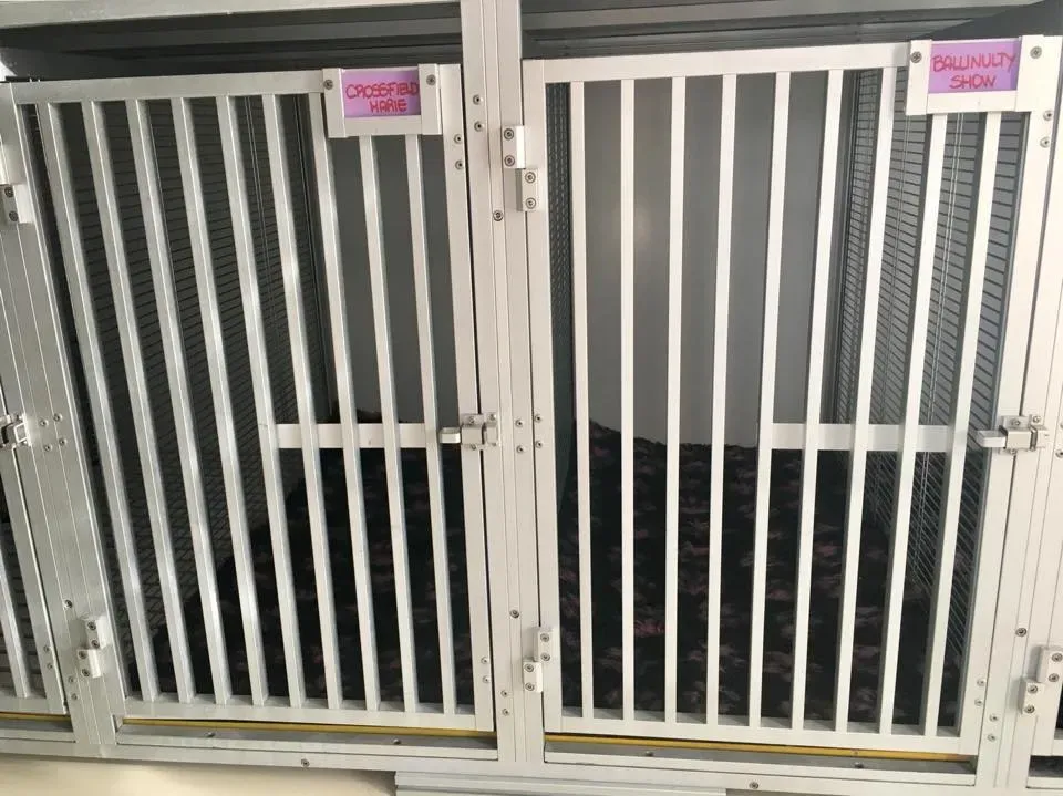 49528589 2053074528109725 2635864022745874432 n