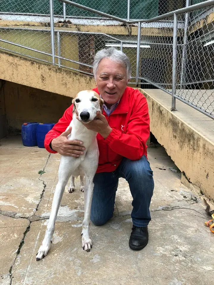 49540944 1855221024612585 7407148186919239680 n