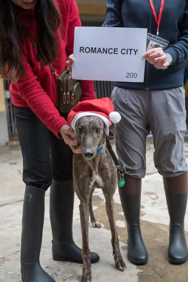 49572400 2051369004946944 4736102880166019072 n