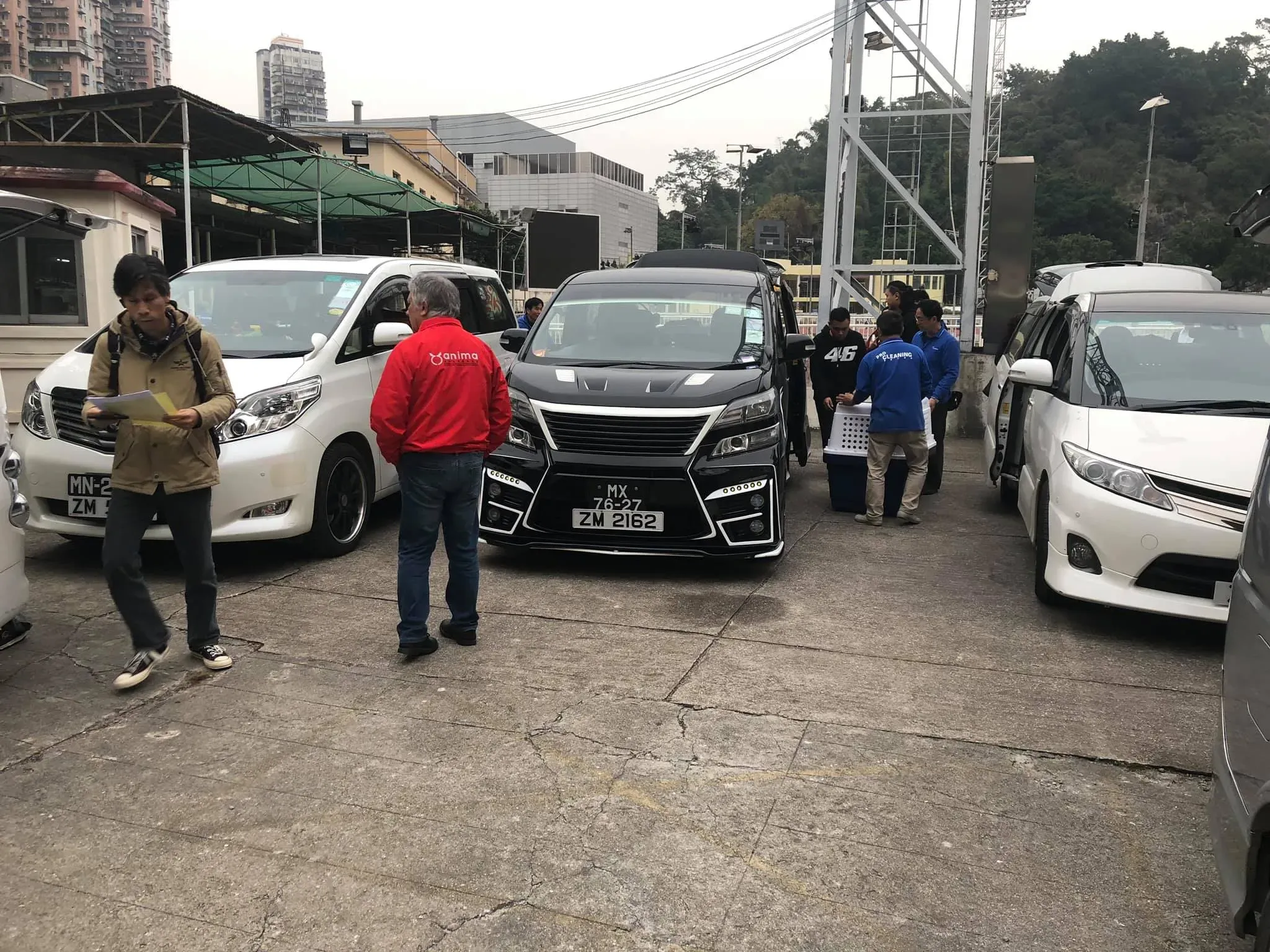 49579409 1855222721279082 5782070782750359552 o