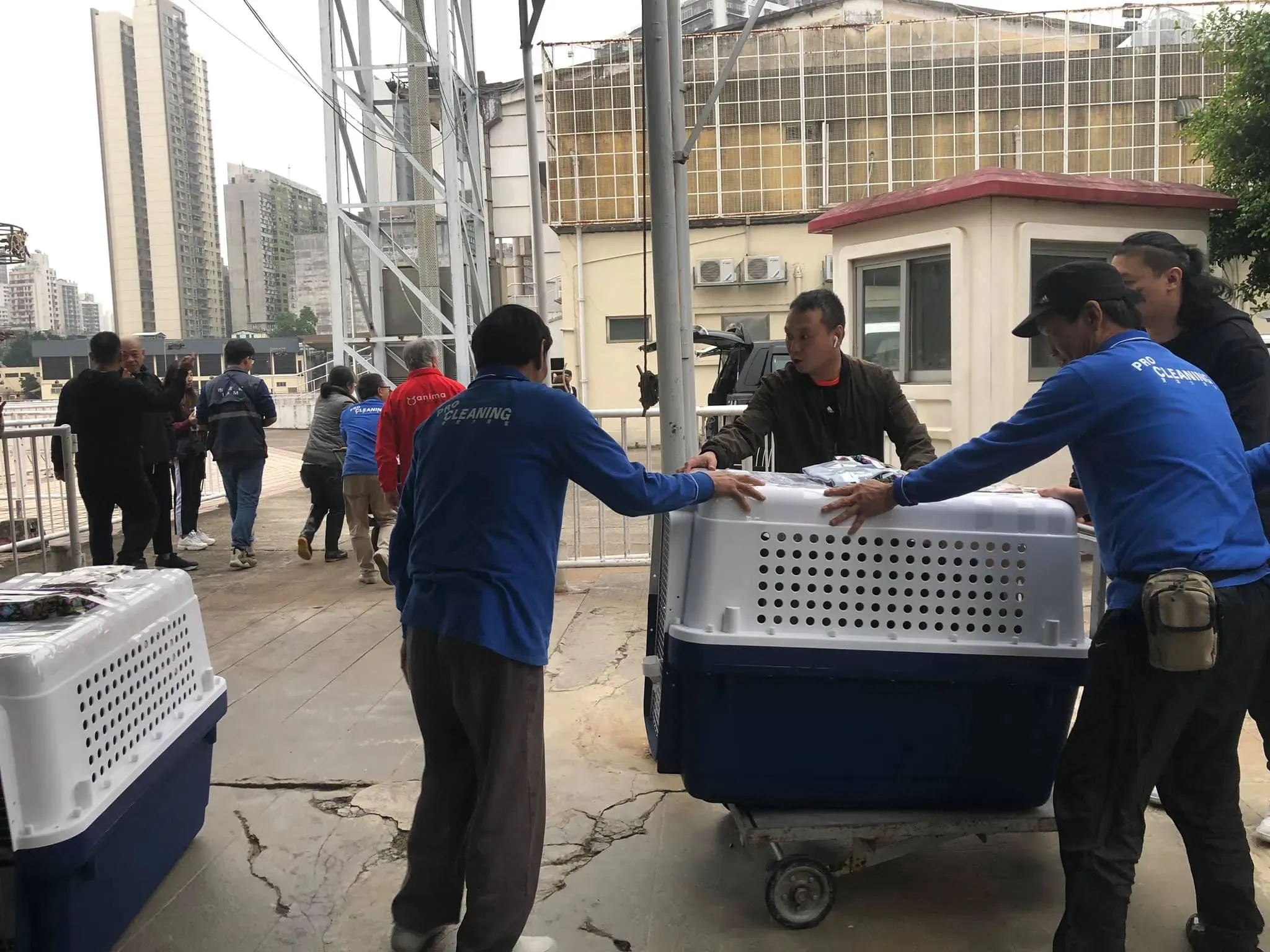 49599780 1855222374612450 4571406728498774016 o