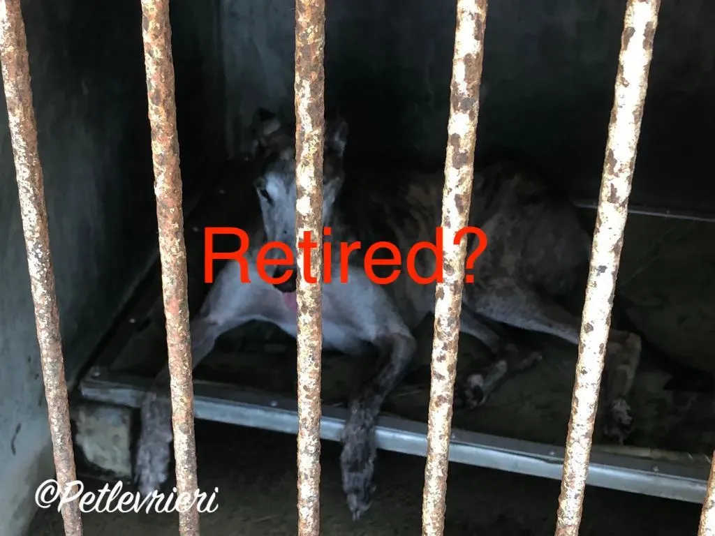 49608221 2055702254513619 2469886888492662784 o