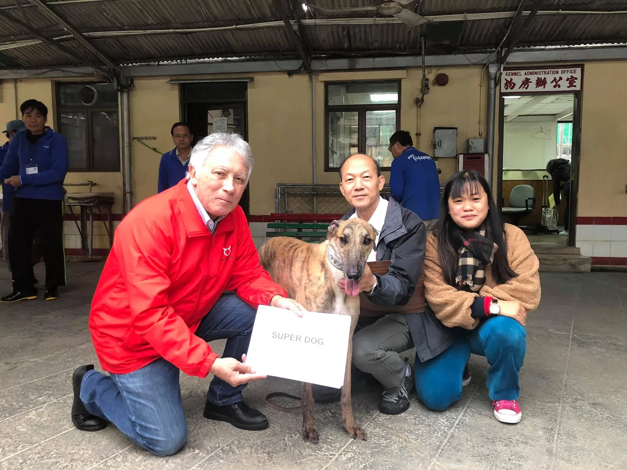 49609776 1855221261279228 2627272730944208896 o