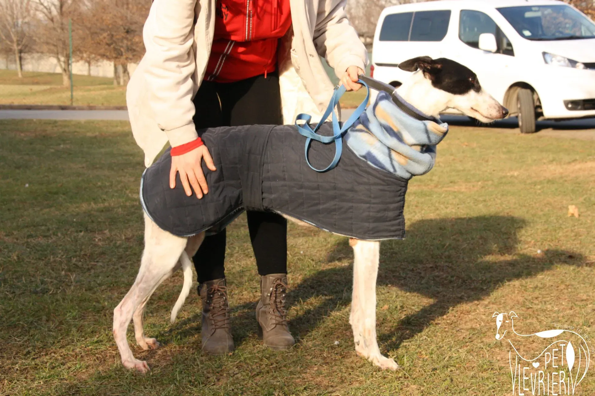 49616302 2054525957964582 8411522638366638080 o