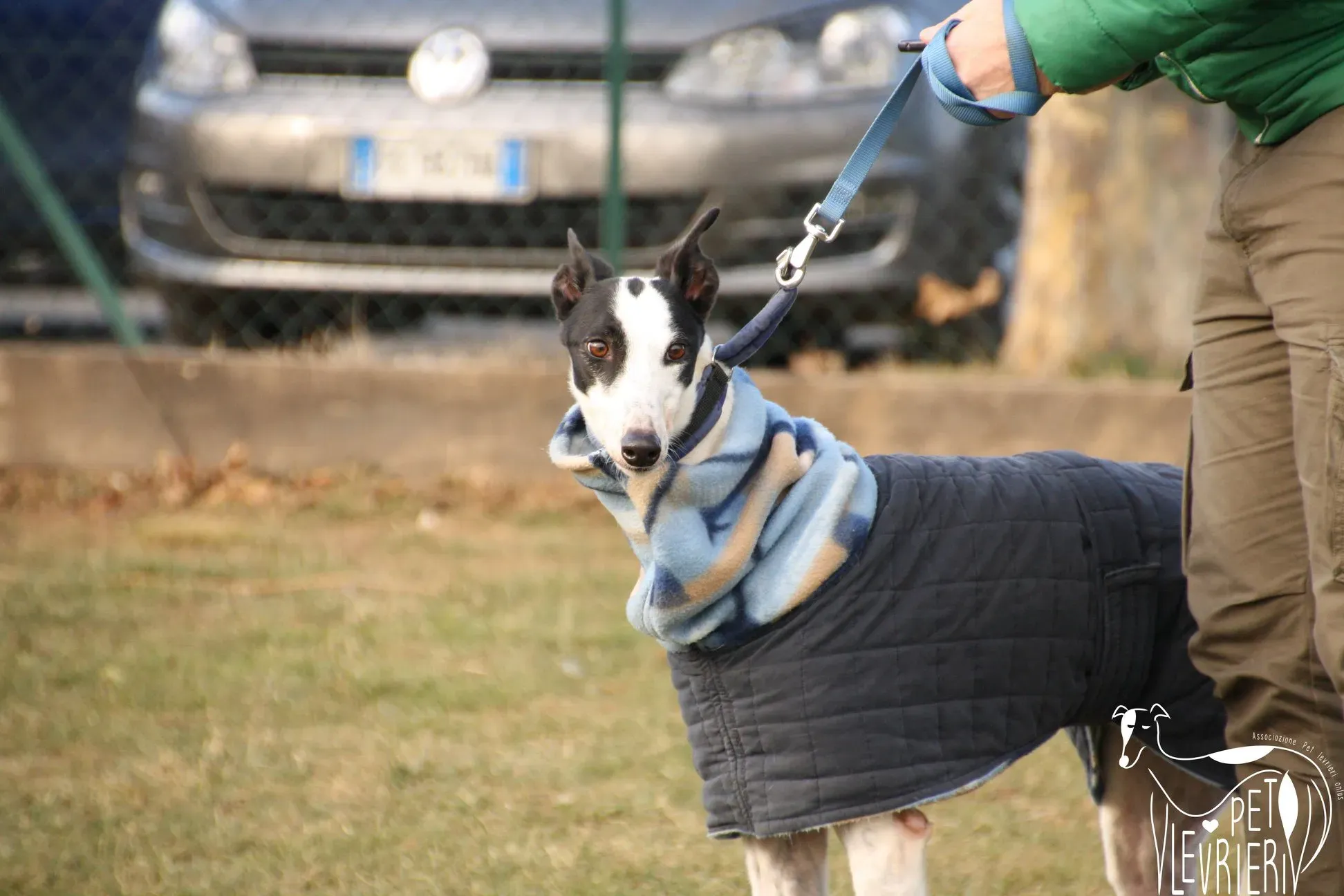 49619224 2054525154631329 4034643478443982848 o