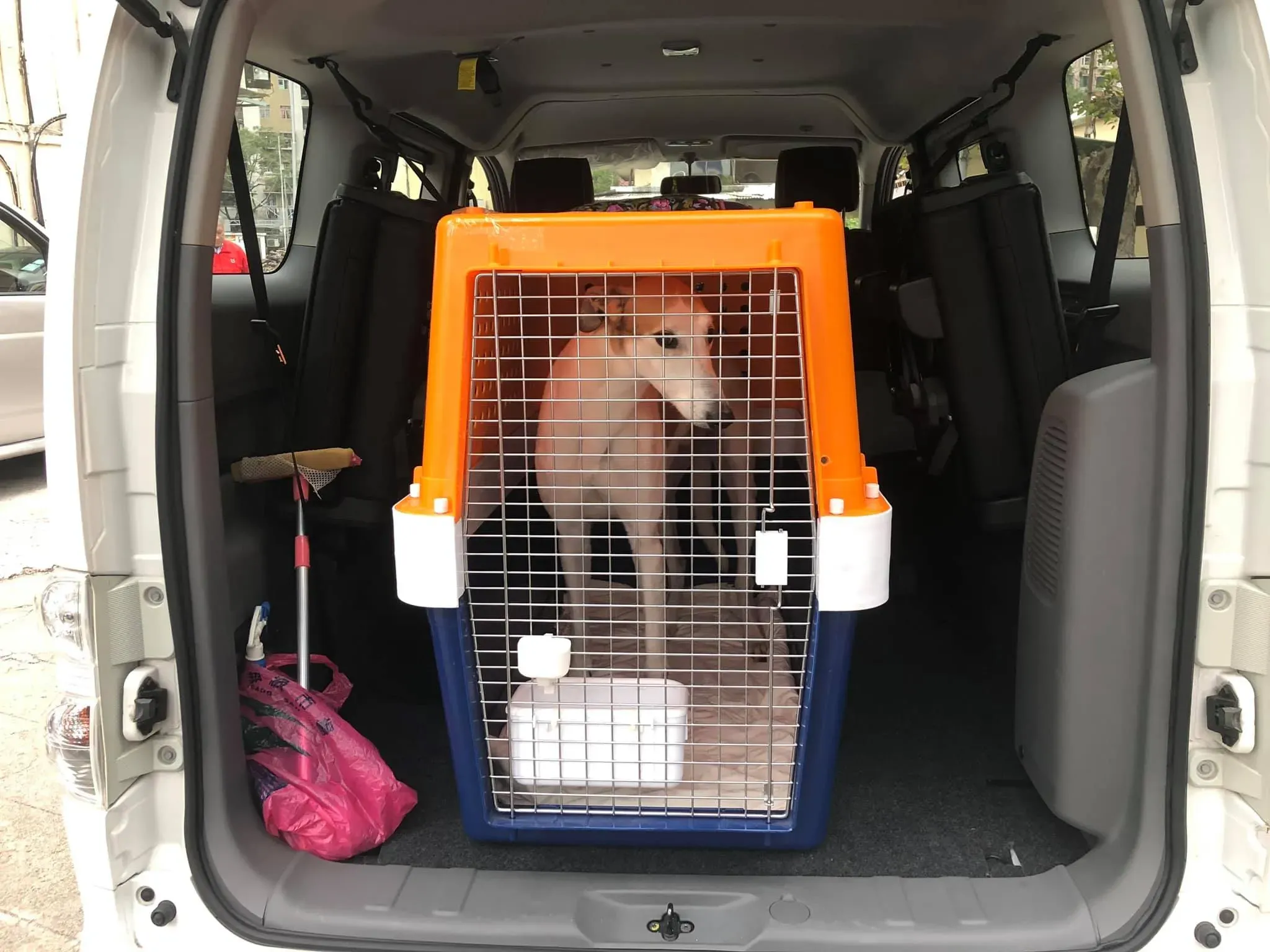 49640309 1855222411279113 9212036187936522240 o