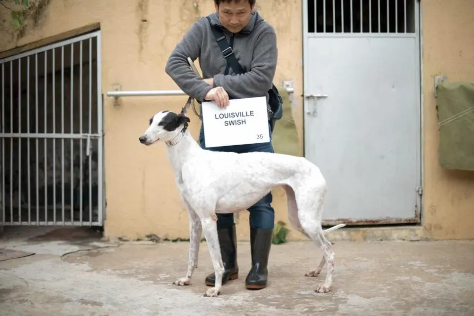 49671227 2051368958280282 204308385930149888 n