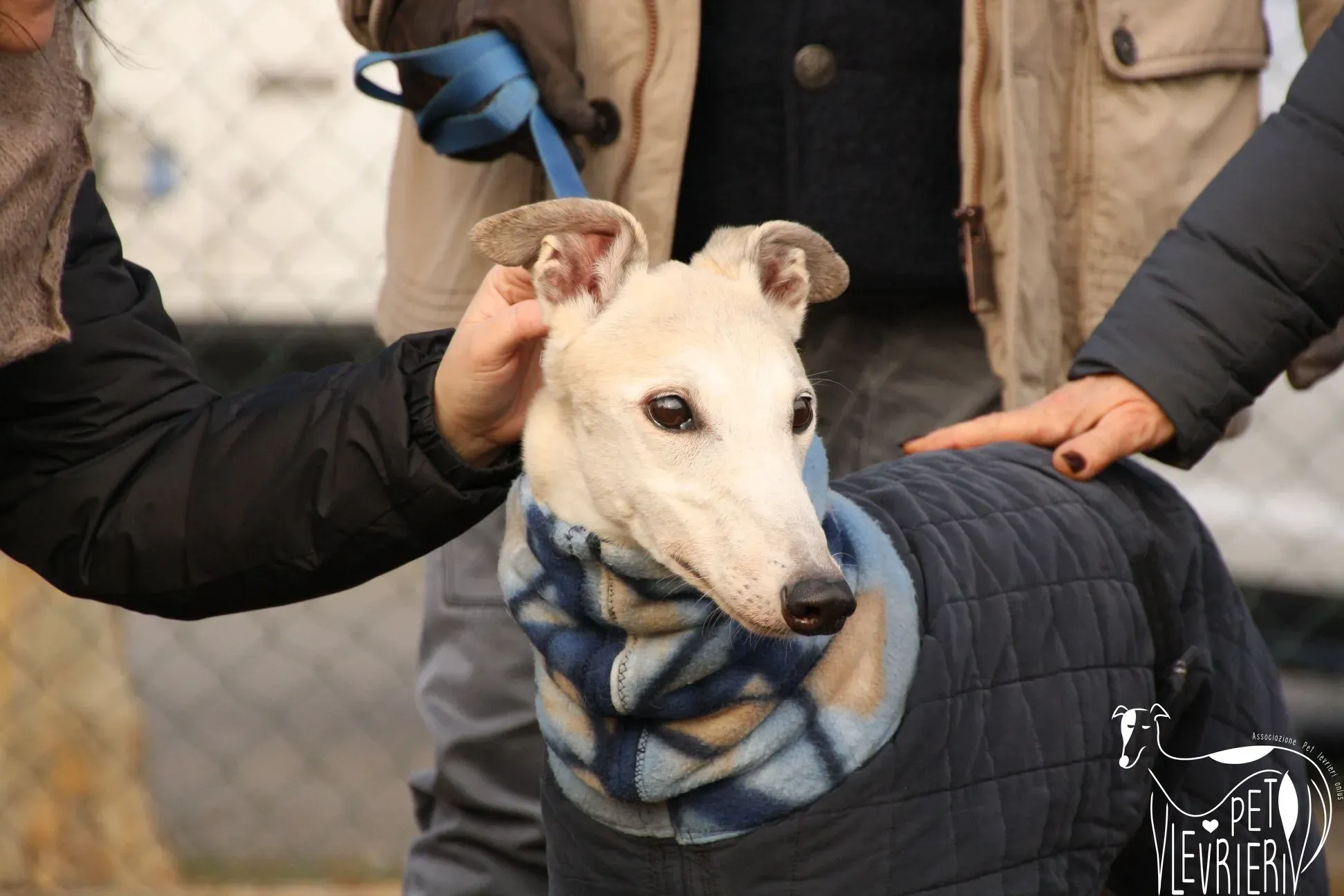 49708632 2054524617964716 7364784888664293376 o