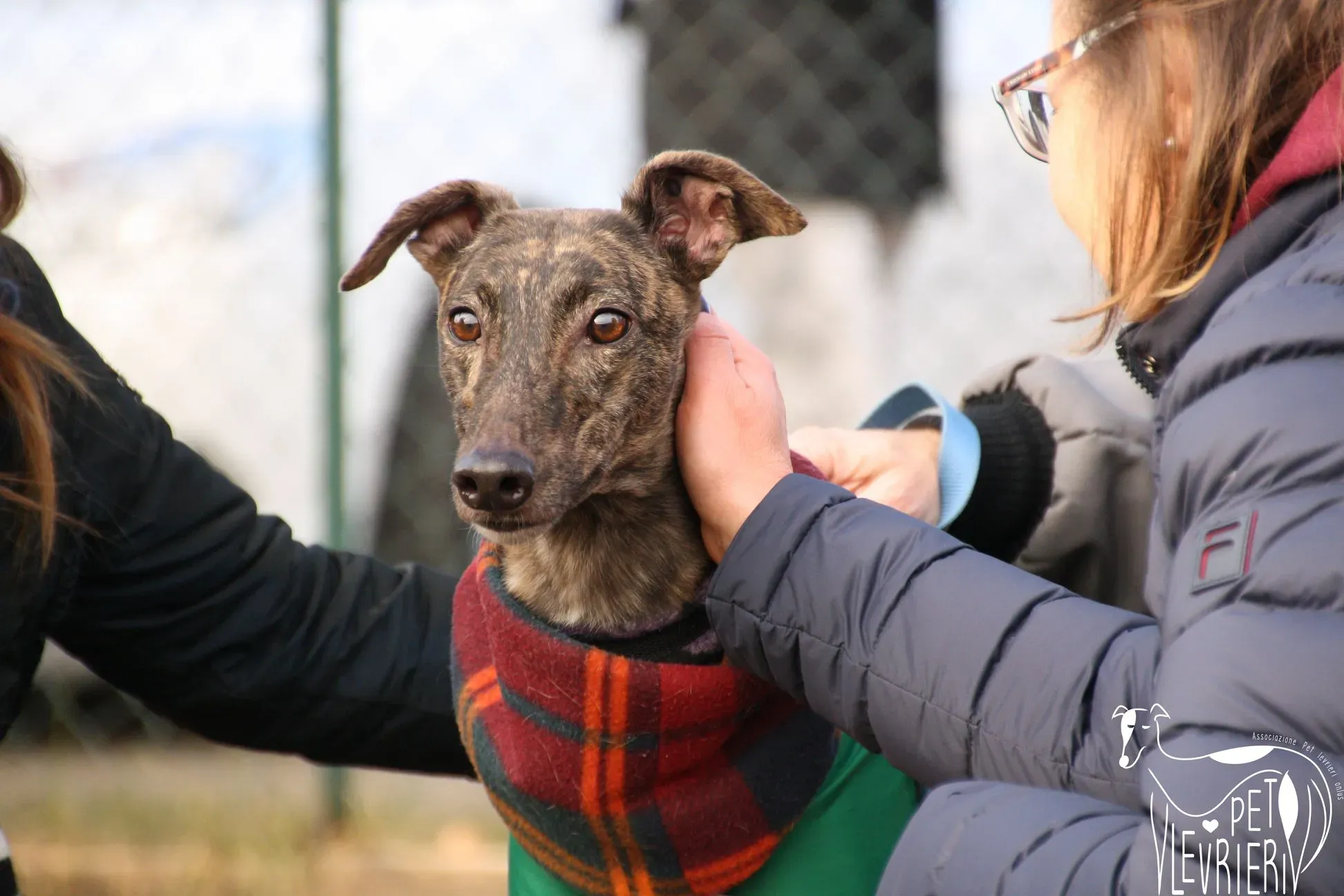 49711501 2054524627964715 8587093058816835584 o