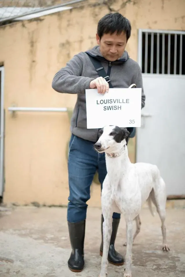 49718042 2051368964946948 4510261950575280128 n