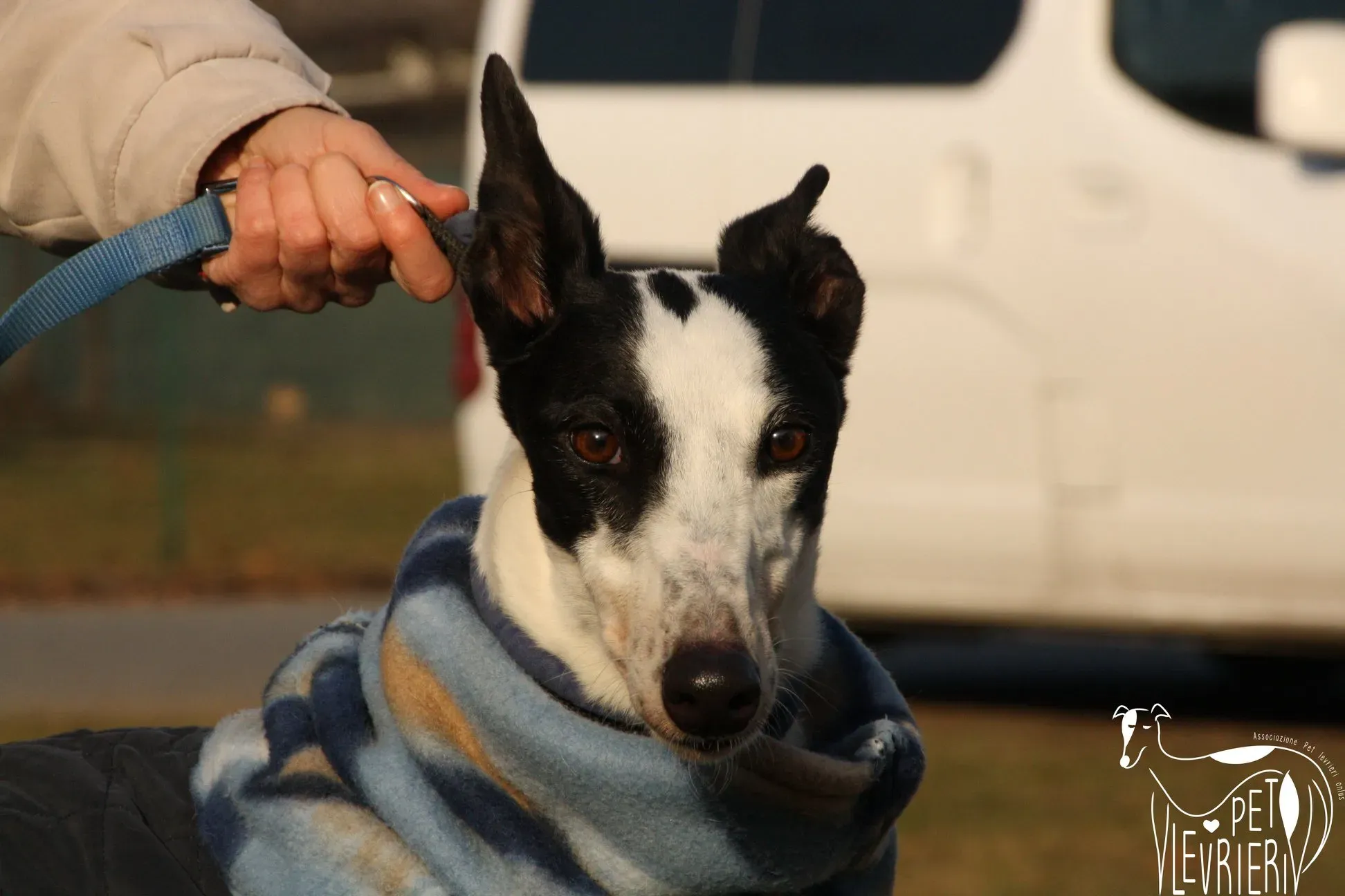 49745765 2054525477964630 5807940491760631808 o