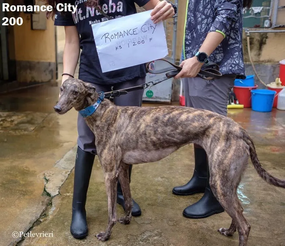 49767958 2051369021613609 1075180023863836672 n