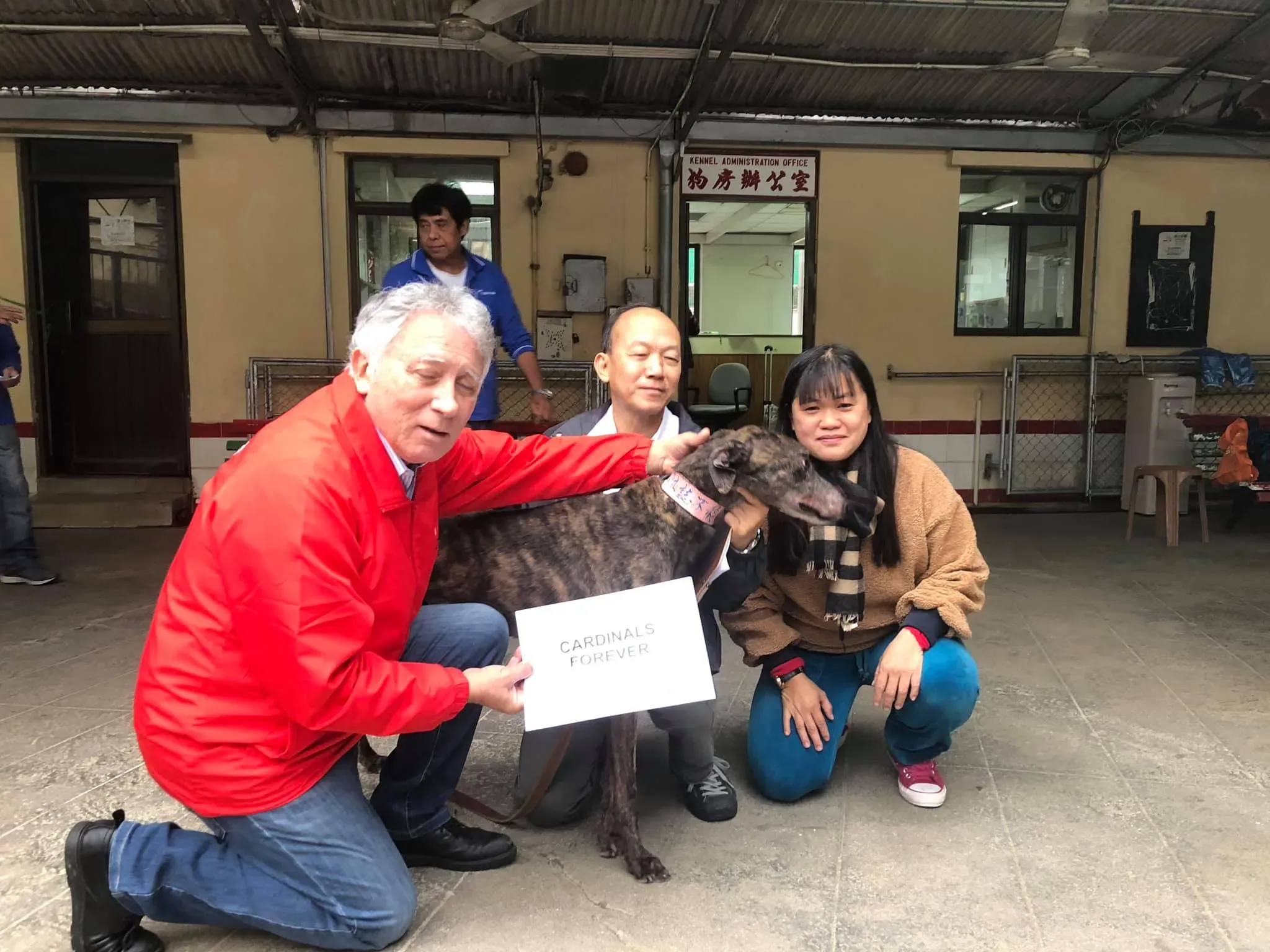 49778078 1855221237945897 8797060034094694400 o