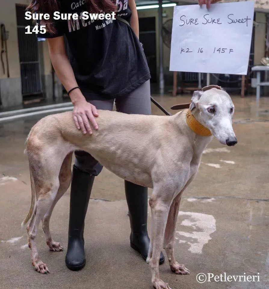 49793804 2051368914946953 1081569410486894592 n