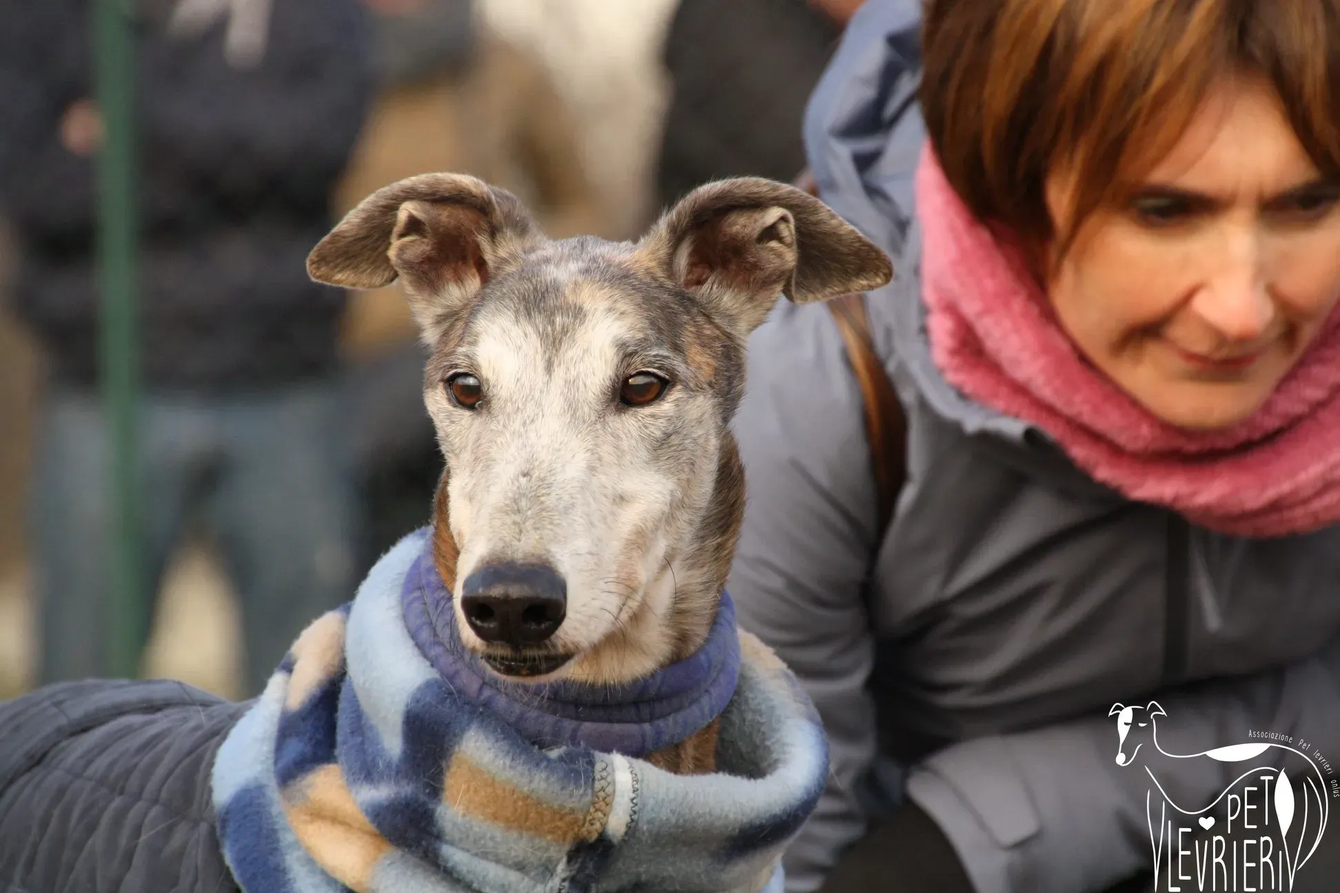 49797560 2054525011298010 7781245576477147136 o