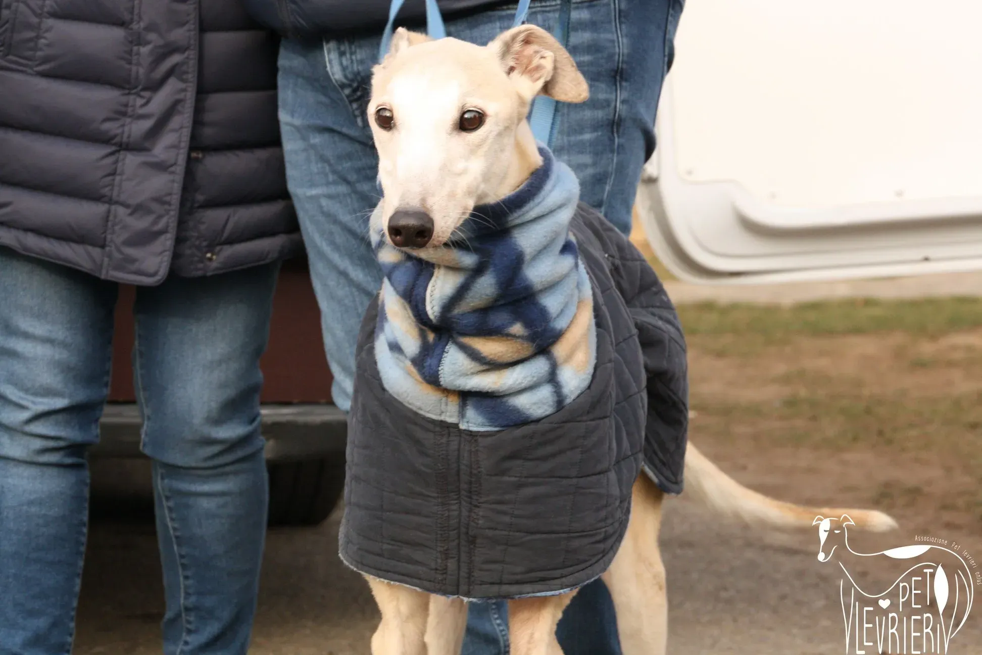 49848402 2054524601298051 676739223528669184 o