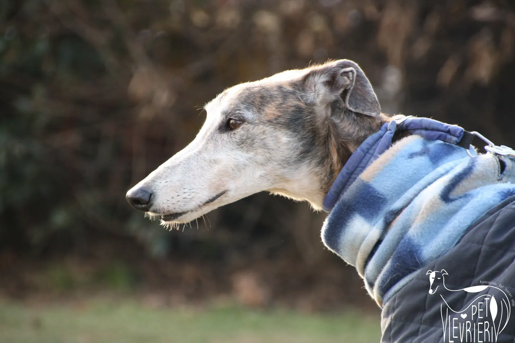 49853177 2054525321297979 5195521367016996864 o