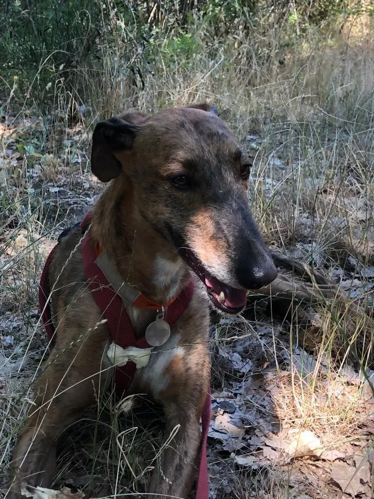 4986530c 82d9 457d ad2e 7d45bce7b056