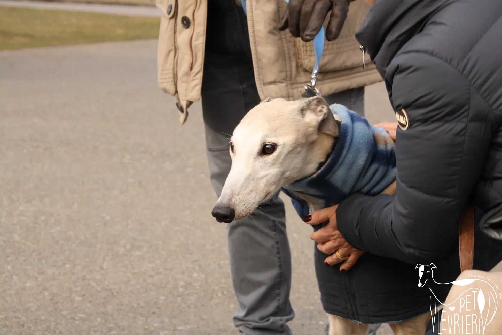 49895985 2054524504631394 411685500223488000 o