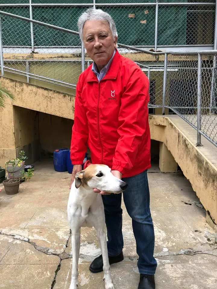 49897340 1855221124612575 6677824162662187008 n