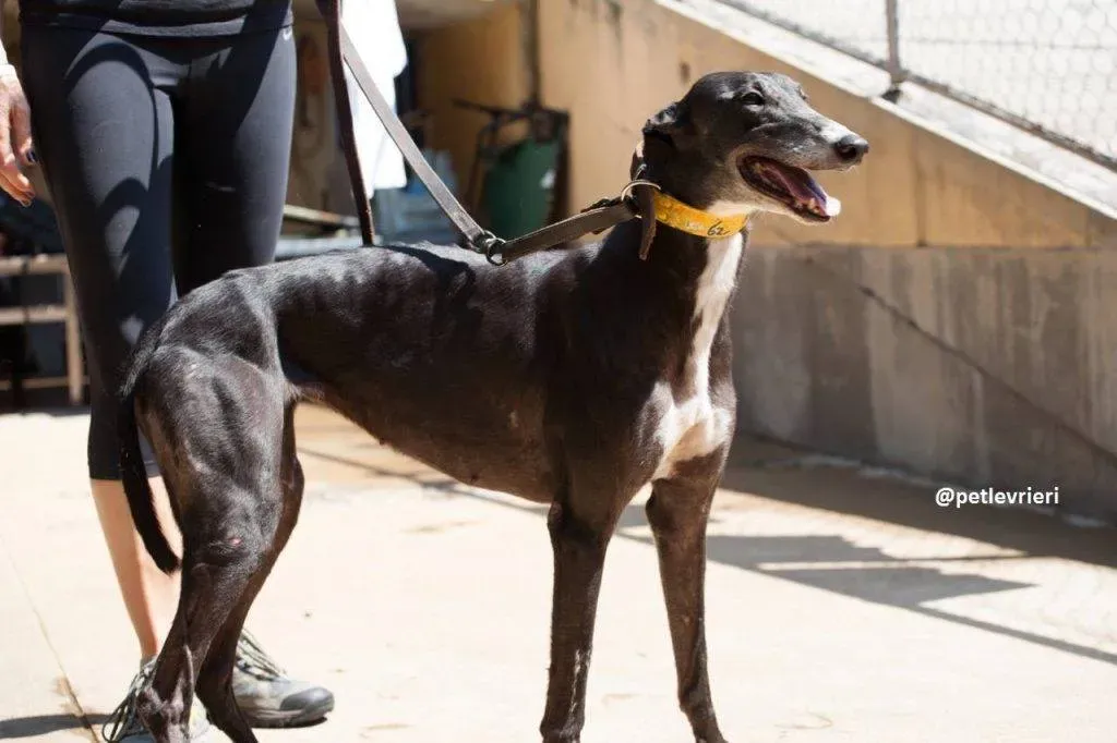 49949481 2061557847261393 2266820173312819200 o