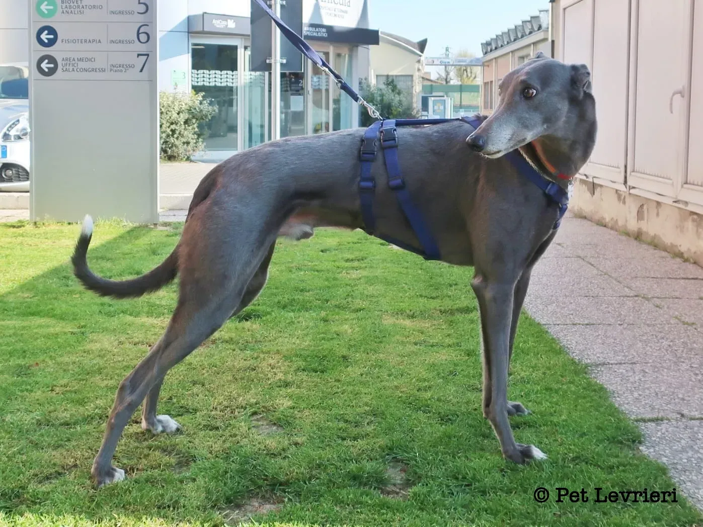 4A429378 5059 4521 BD0F 076C888849AA