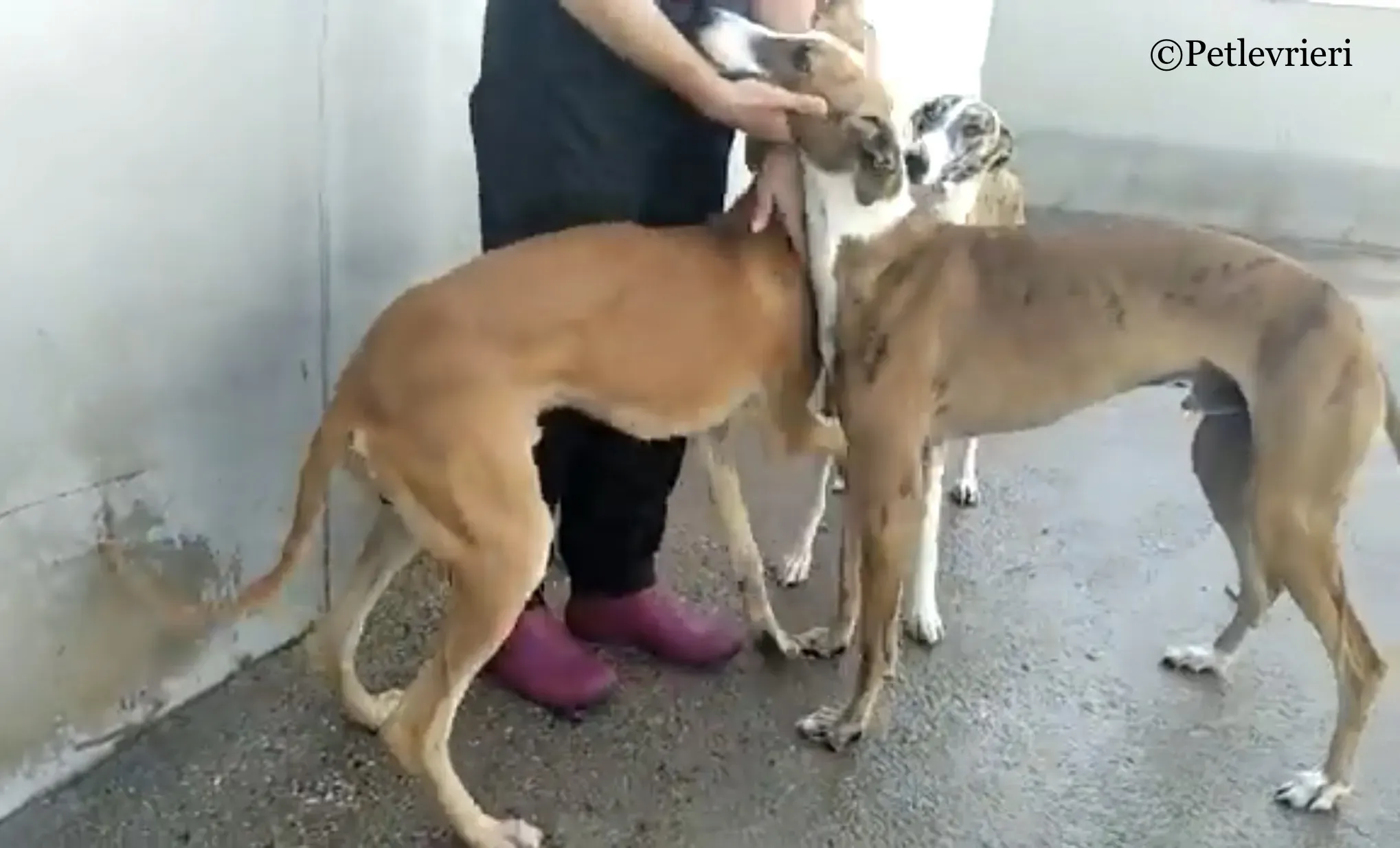 4A4942E4 2626 4671 8C2F EB5A5FB3232E