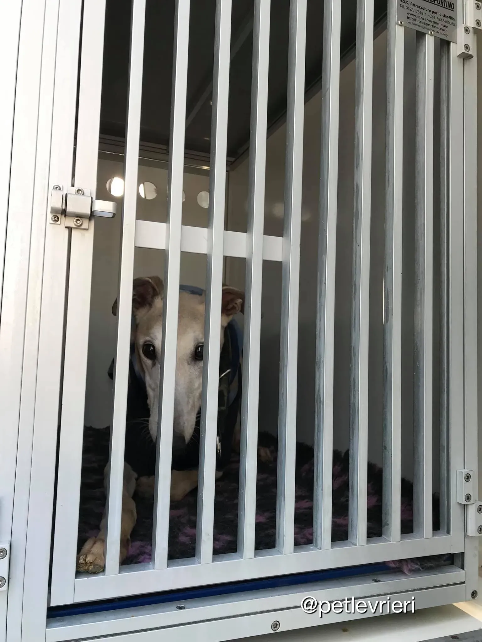 4A883E05 8E79 4B26 875A CFD07001CB34