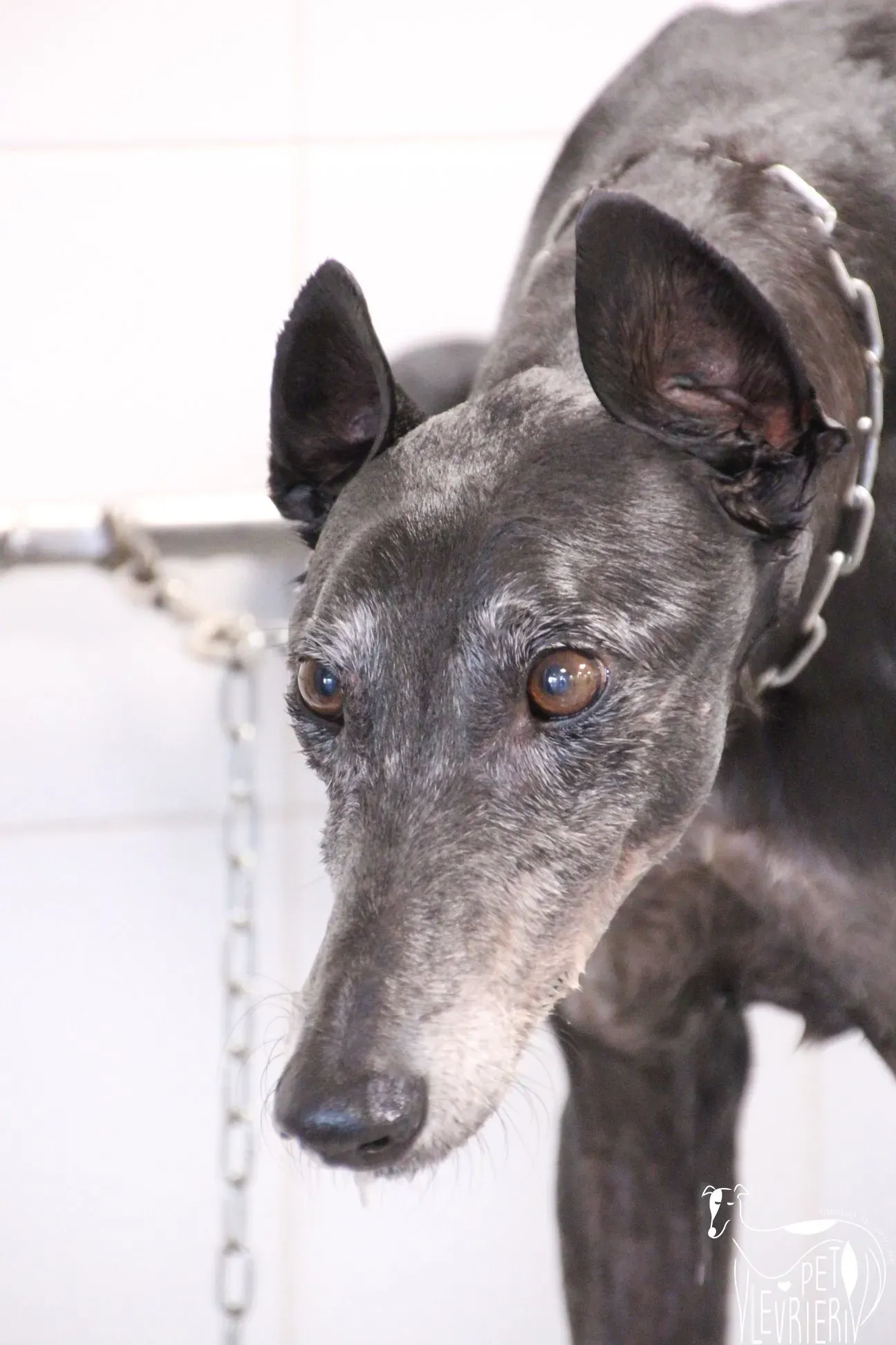 4C083261 2387 4B8D BAAF 6F3613822757