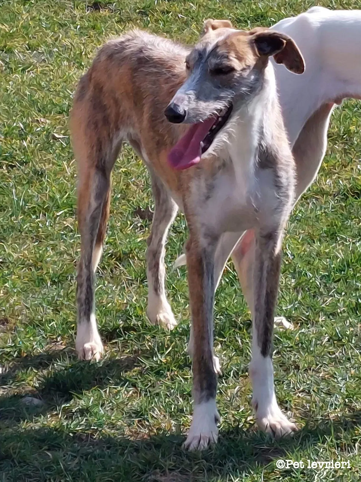 4C345609 7898 4509 B95E 22951744EEEA