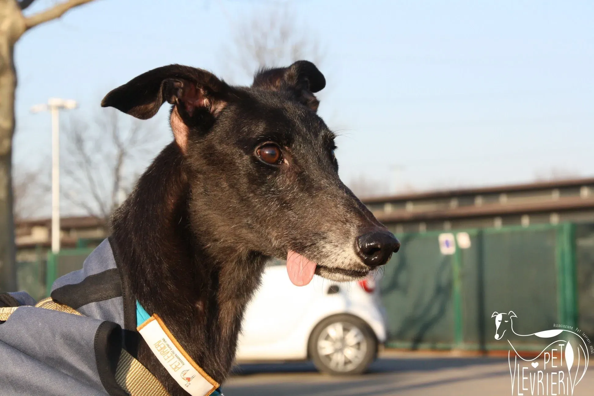 4D1105EE EF72 4EC4 A05D 124DEC340E2F