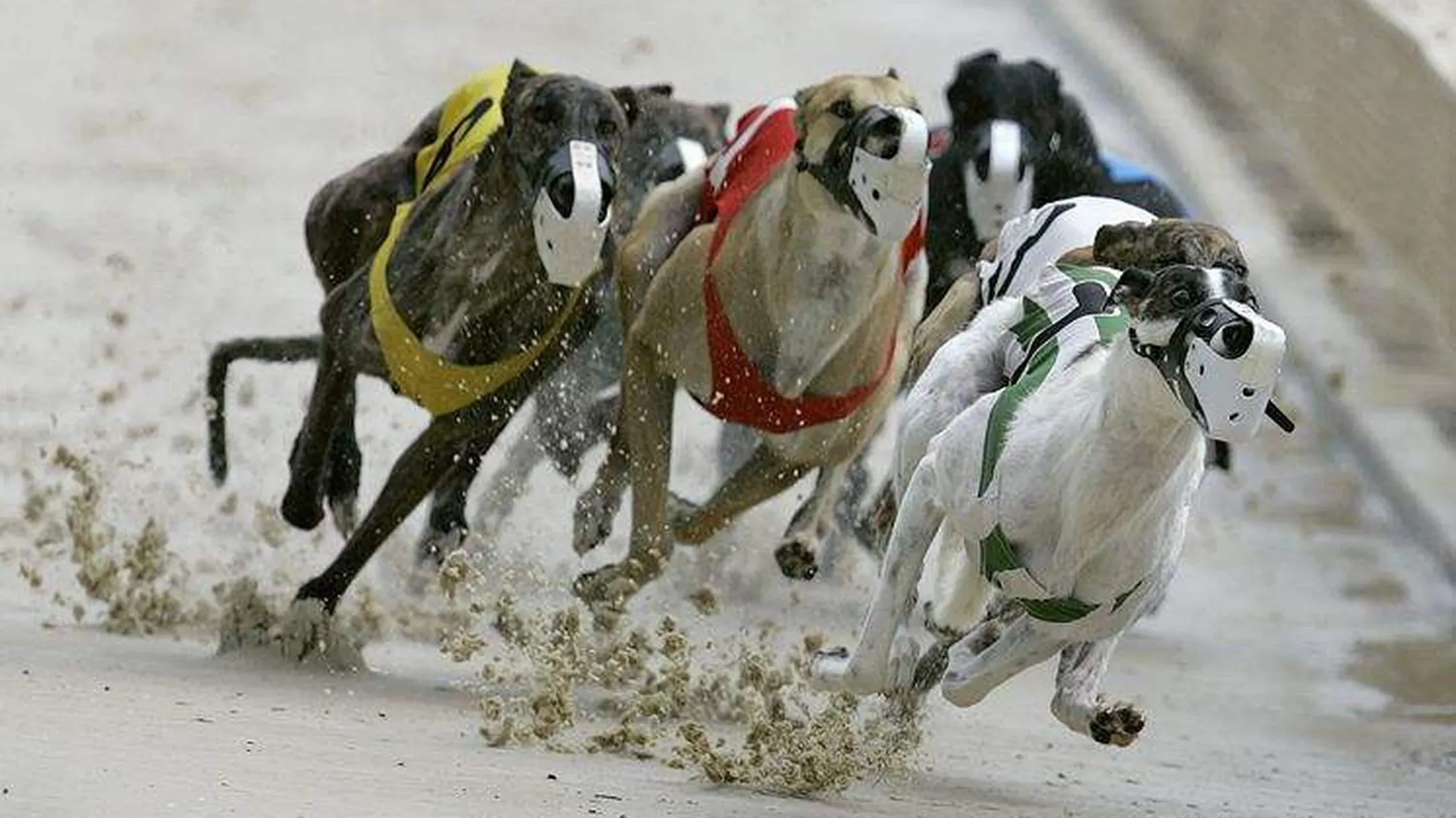 4IJUY2GICAI6TJTLIBWI6S7HAY