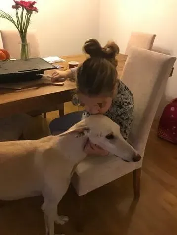 4 Emanuel Galgo Petlevrieri Petlevrierionlus feliciacasa