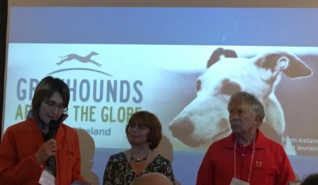 4f867d72 e144 4205 9346 9ae5cd379e20