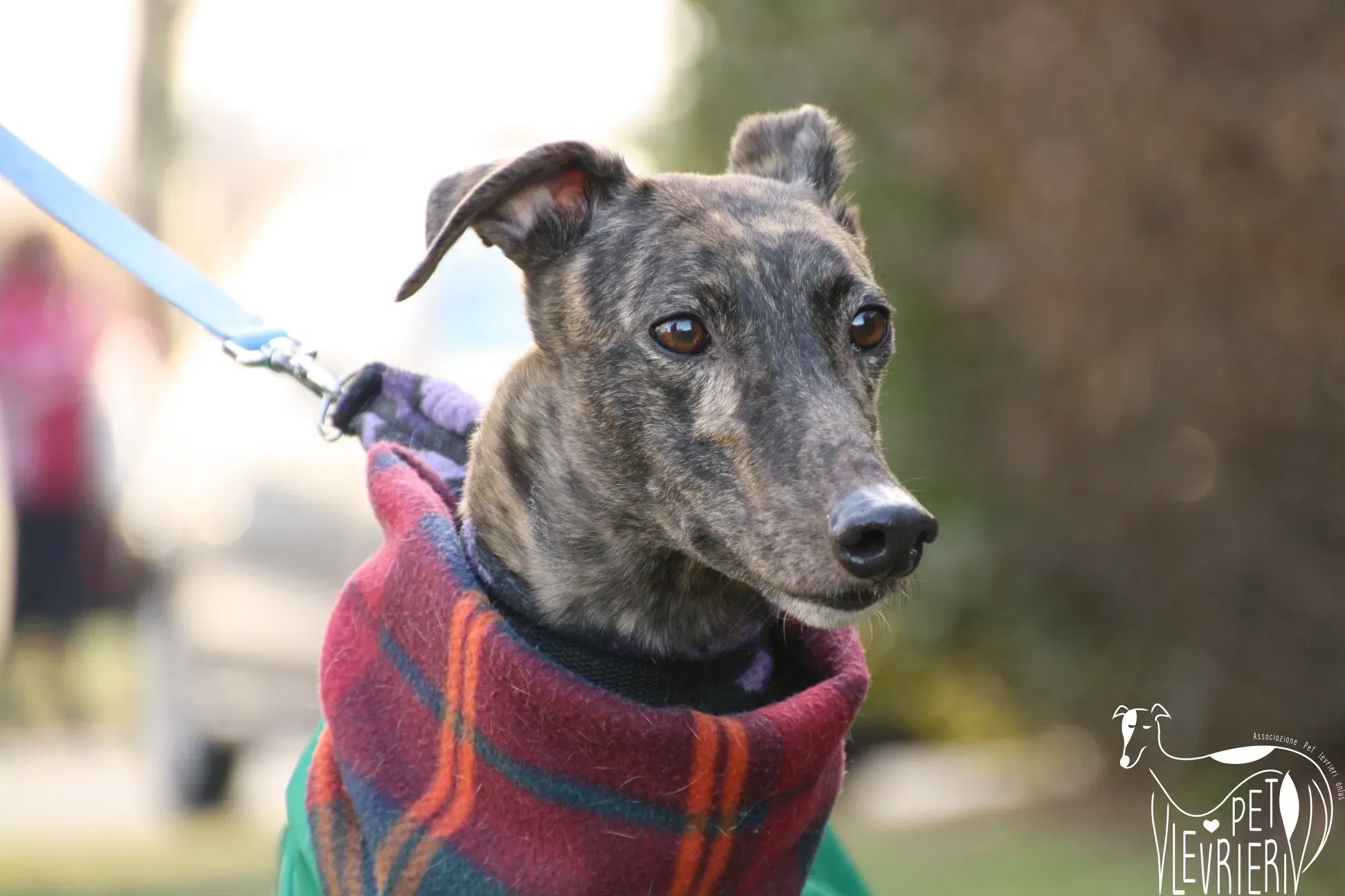 50008796 2054525471297964 3090774735261270016 o