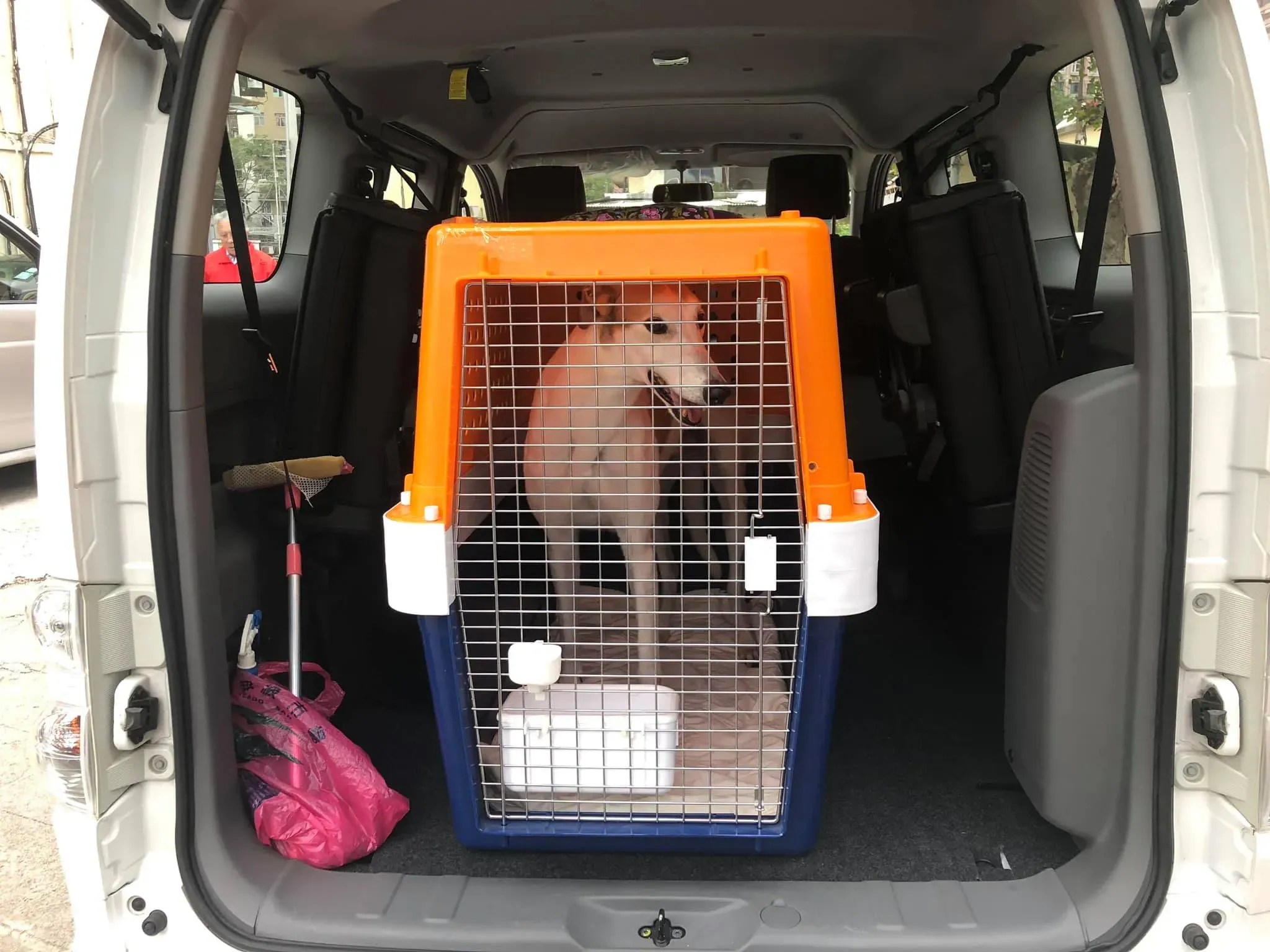 50012342 1855222511279103 8346791502621442048 o