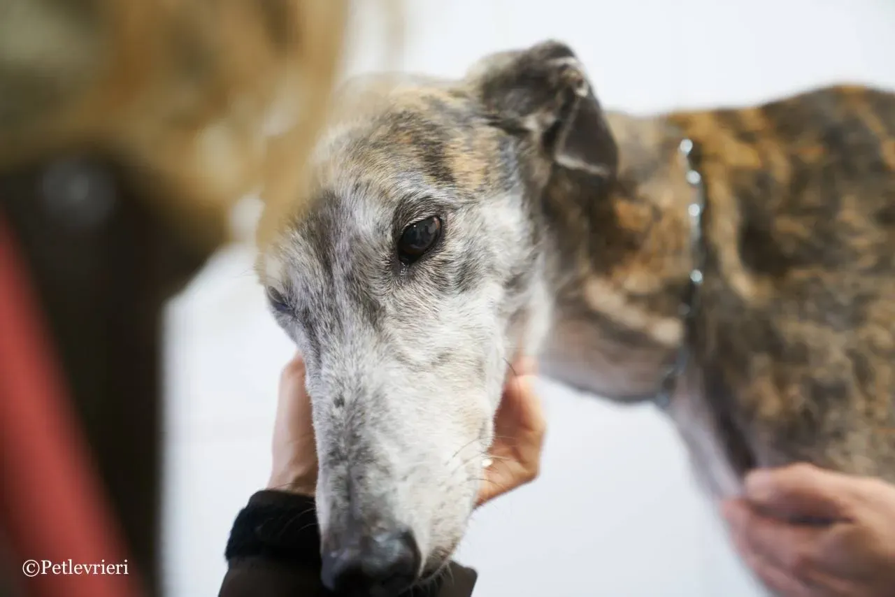 50026314 2113007312124194 5208382522030817280 o