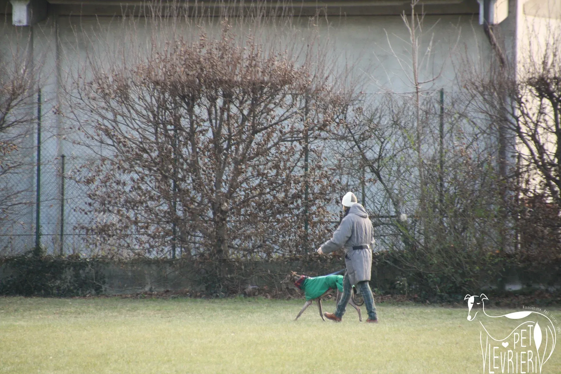 50046959 2054525831297928 3298819094198878208 o