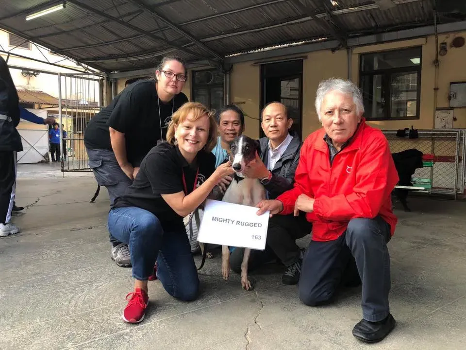 50218092 2083803248370186 1325919626193797120 n