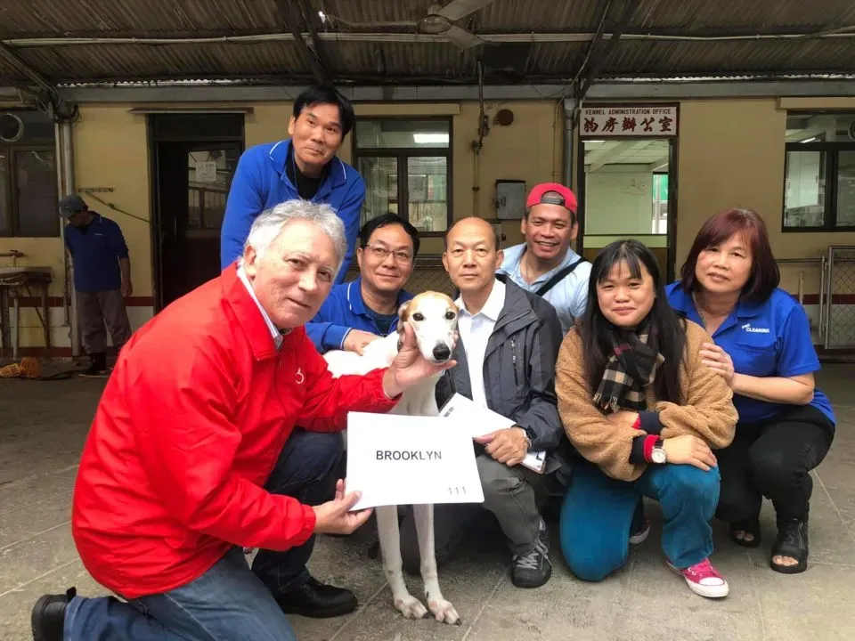 50277559 1855221621279192 8240365429957066752 o e1547050007695