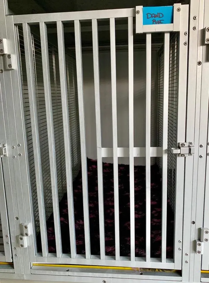 50283551 2081128078637703 796631758127759360 n