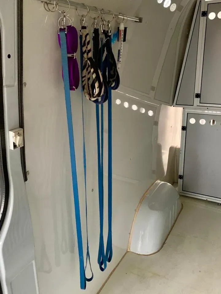 50314493 2081128111971033 4913111878437175296 n