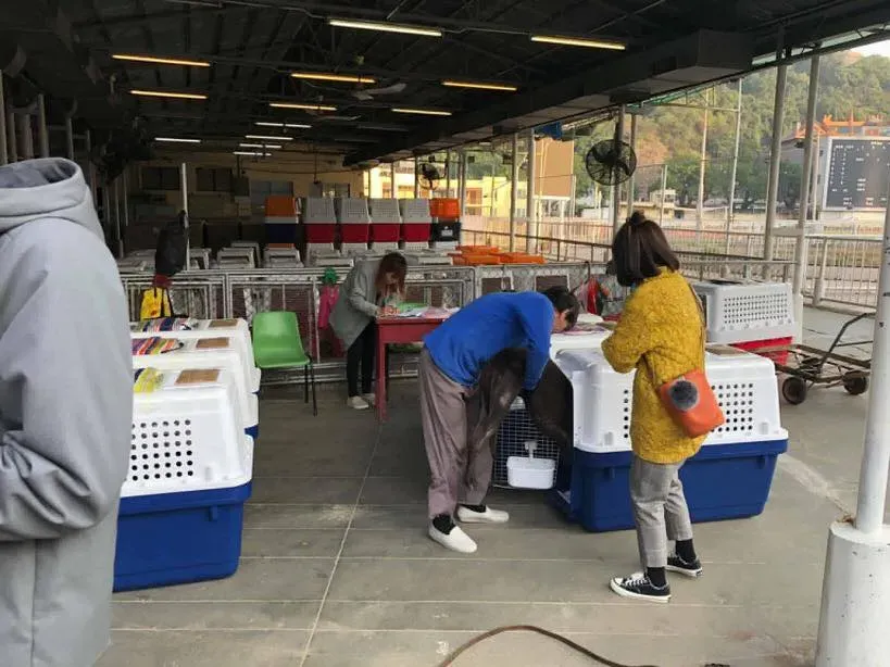 50411501 2080689432014901 3262228738795896832 n