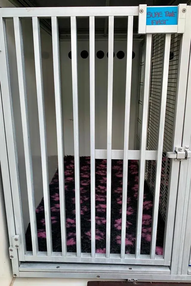 50414427 2081128155304362 5869005907278430208 n