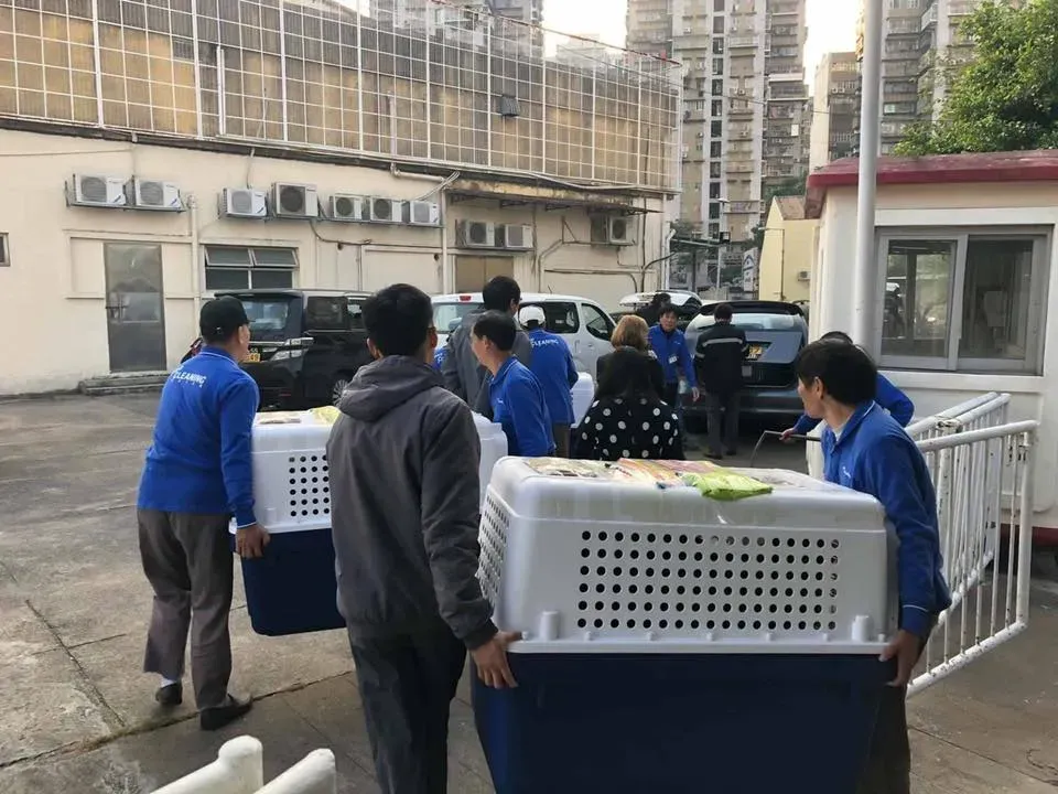 50431473 2080689315348246 3531397715080511488 n